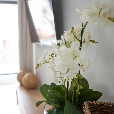 Διαμέρισμα Apartament Koszykowa *